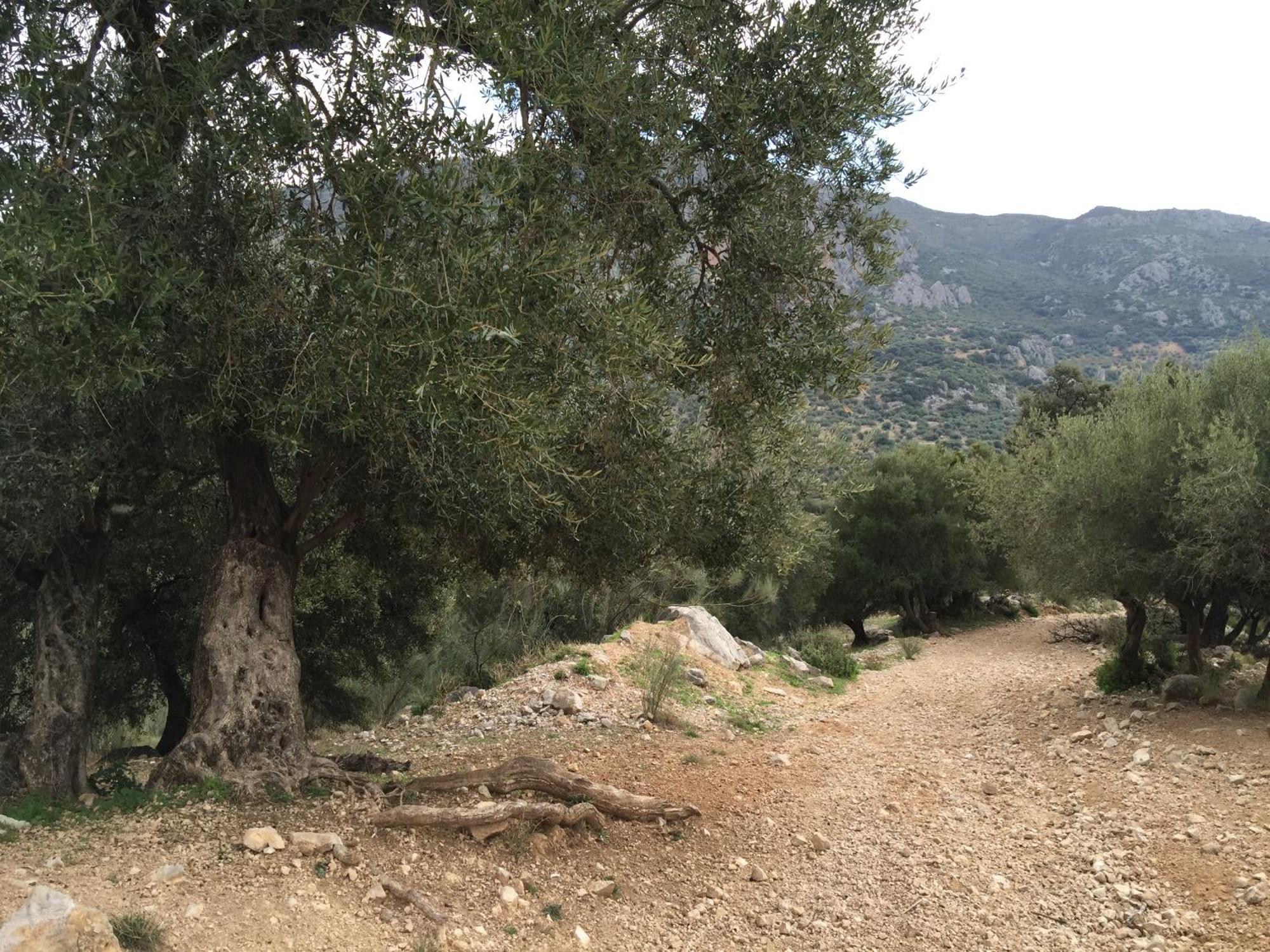 Villa La Fuente Mondrón المظهر الخارجي الصورة